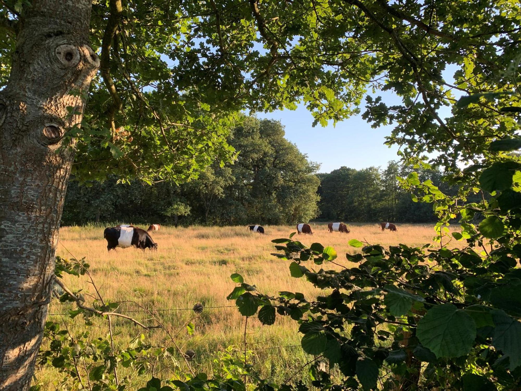 De Hiddinghhoeve Onstwedde ภายนอก รูปภาพ