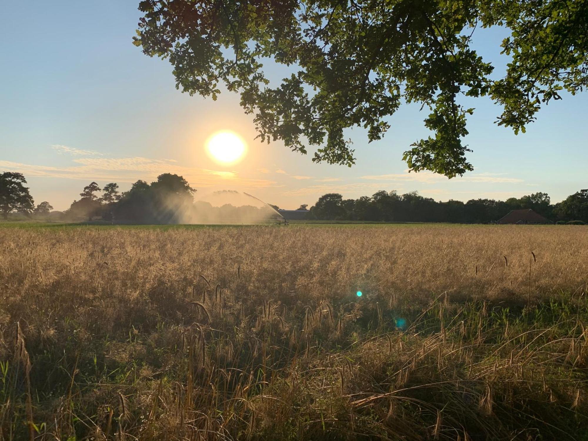 De Hiddinghhoeve Onstwedde ภายนอก รูปภาพ