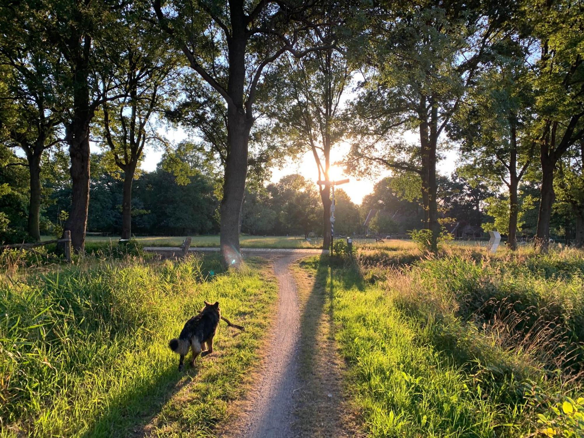 De Hiddinghhoeve Onstwedde ภายนอก รูปภาพ